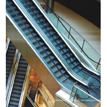 Best Buy Indoor Eletric Escalator